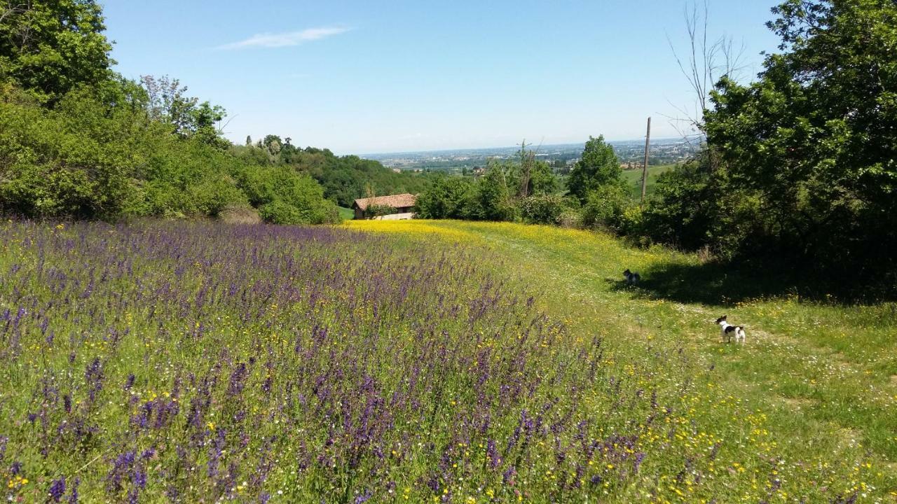 Agriturismo Montevecchio Isolani Monte San Pietro Exterior photo